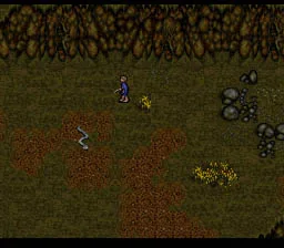 J.R.R. Tolkien's The Lord of the Rings, Vol. I (AMIGA)