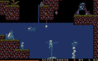 Flood (AMIGA)