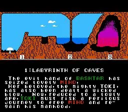 Toki (AMIGA)