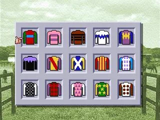 Derby Stallion