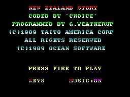 The NewZealand Story (NES)