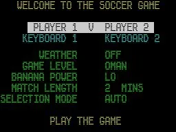 Microprose Soccer (PC)