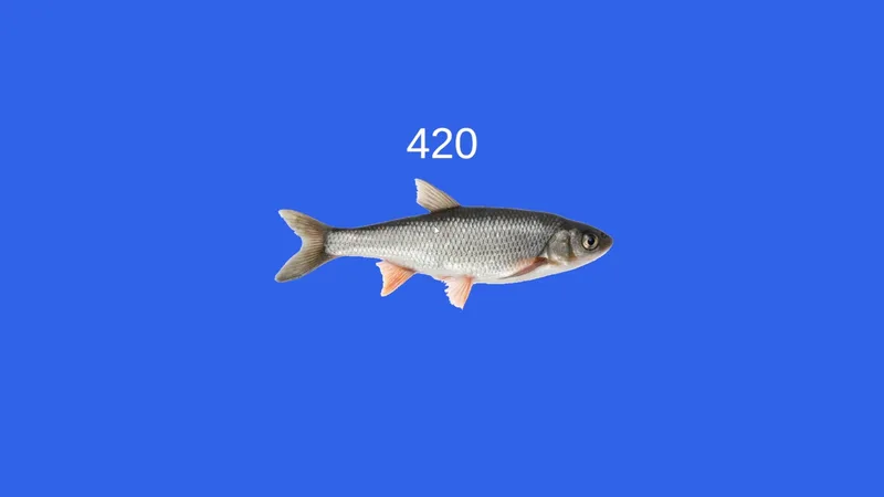 ...fish