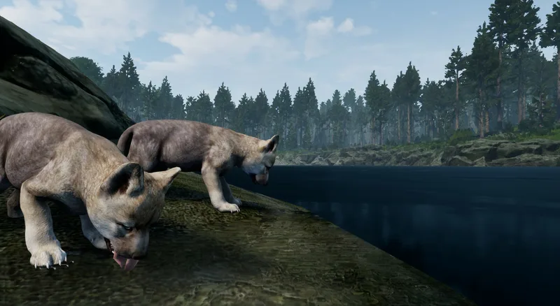 Territory (PC)