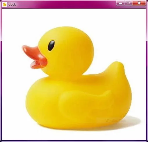 duck (itch) (novek2)
