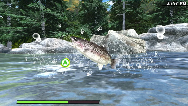 Reel Fishing: Road Trip Adventure (PS4)