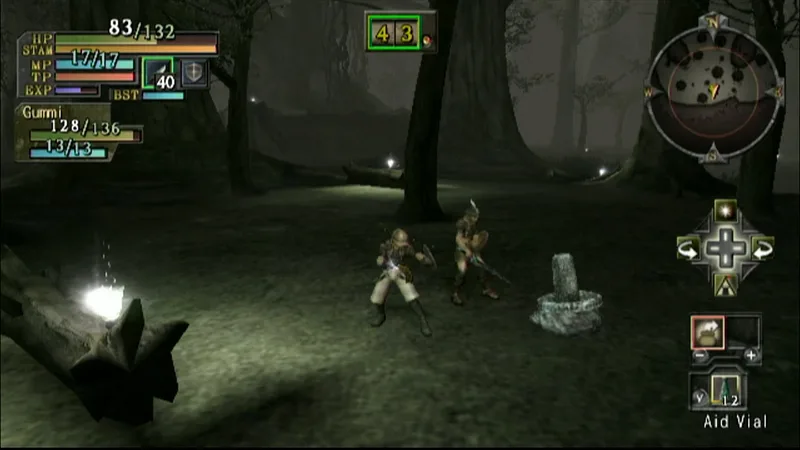 Valhalla Knights: Eldar Saga (WII)